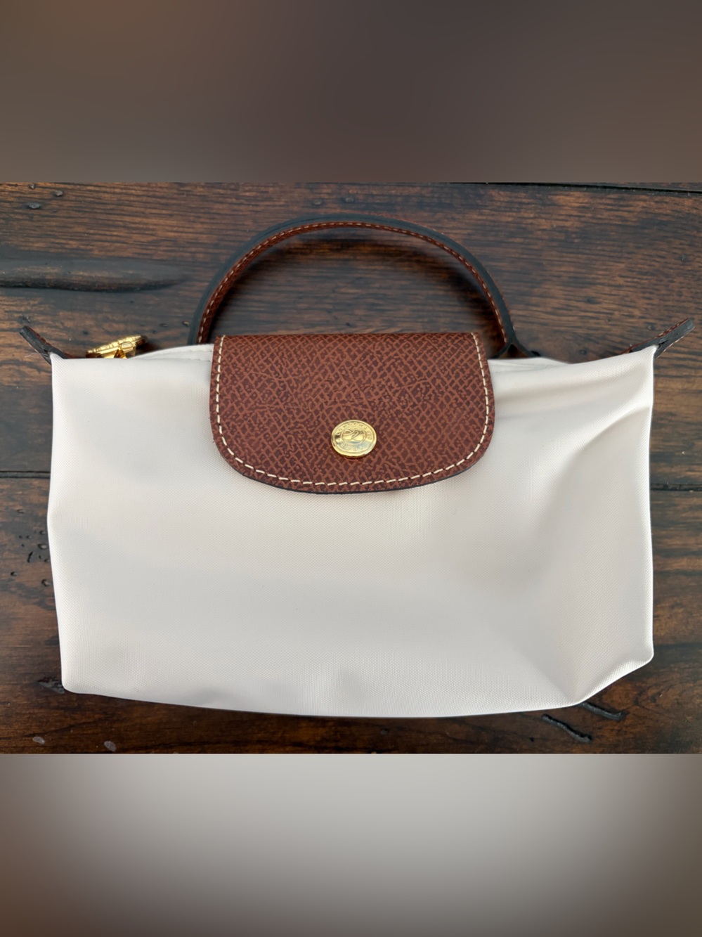 NWOT Longchamp Le Pliage Case